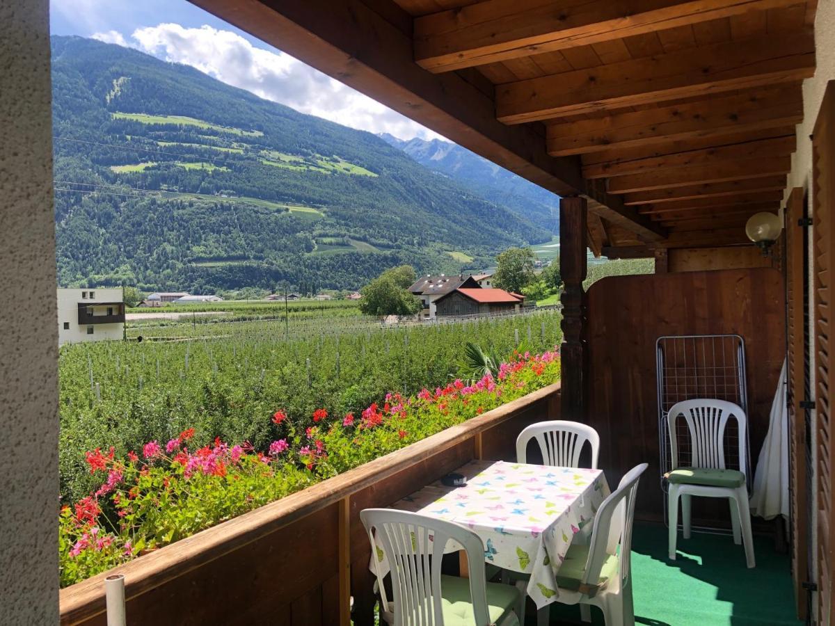 Pixnerhof - Urlaub Am Biohof Apartment Castelbello Exterior photo